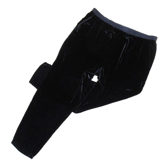NWT Eileen Fisher Ankle Length Pant in Midnight Velvet Tapered Pull-on Pants PL